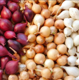 Colors Mix Onion Sets Seeds Yellow, Red, White Sweet Onions Set for Growing Gardening