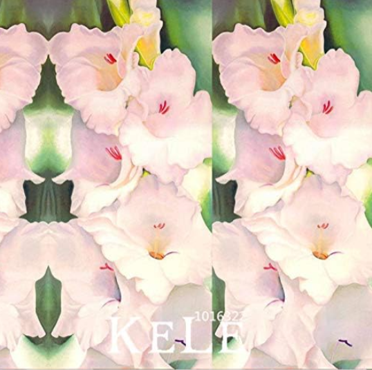 Pink Gladiolus Flower Seeds #LIUHY0