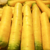 Qitou Yellow Carrot Seeds - Easy to Grow, Strong Adaptability, High-Yielding, Vigorous Growth, Premium Quality