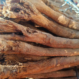 Hedysarum polybotrys Seeds | Hongqi, Perennial Traditional Herbal Medicinal Plant Seeds for Planting