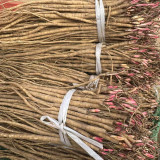 Hedysarum polybotrys Seeds | Hongqi, Perennial Traditional Herbal Medicinal Plant Seeds for Planting