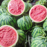 Xiumei Meidu Watermelon Seeds | Tender & Juicy, Excellent Eating Quality, 11–12° Brix, Mid-Maturing Variety