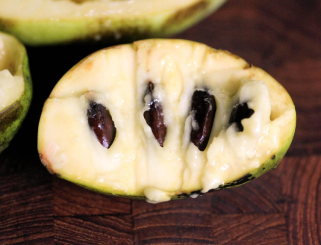 Pawpaw Seeds