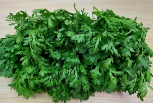 Shungiku Seeds Asian Greens Choy Suy-Tongho Edible Chrysanthemum