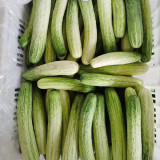 'Yanbai No.7' Long Greenish-white Cucumber Hybrid Seeds | Extremely Early Maturing, Crisp Tender Texture, Strong Vigor