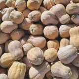 Jiami F1 Pumpkin Seeds – F1 Hybrid, Dual-Purpose Harvest, Sweet Flesh, Non-Cloying Taste, Excellent Fruit Set