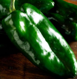 Poblano Pepper Seeds Ancho Grande, Non-GMO, Heirloom