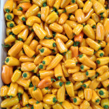 Mini Yellow Sweet Pepper Seeds – High-Yielding, Easy to Grow & Maintain, Ideal for Containers and Home Gardening