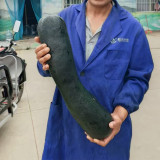 Zhengqing No.1 Black-skinned Pumpkin Seeds | Early-Maturing High-Yield Culinary Pumpkin with Vigorous Growth