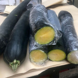 Zhengqing No.1 Black-skinned Pumpkin Seeds | Early-Maturing High-Yield Culinary Pumpkin with Vigorous Growth