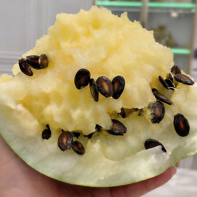 Large-seeded Watermelon Seeds – High-Yield Dual-Purpose Variety, Strong Adaptability, Easy to Cultivate