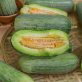 Flying 72 Sweet Melon Seeds | Thin-Skinned, Short Club-Shaped, Crack-Resistant, High Sugar, Crisp & Tender Flesh