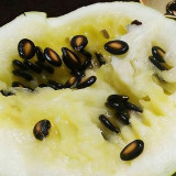Large-seeded Watermelon Seeds – High-Yield Dual-Purpose Variety, Strong Adaptability, Easy to Cultivate