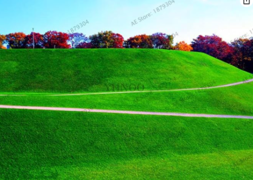 Green Source Turfgrass Grass Seeds Evergreen Lawn Garden