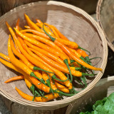 Yellow Spicy Girl Line Pepper Seeds – High Yield, Easy to Grow, Suitable for Fresh and Processing Markets