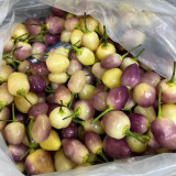 Seven-Colored Pickling Pepper Seeds - Late-Maturing, High Yield, Bright Colors, Ornamental & Edible Value
