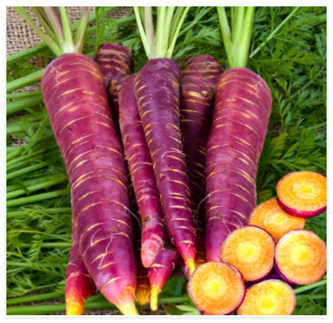 Purple Carrot Seeds Non-GMO Heirloom Garden Vegetable