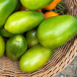 Kiwi Tomato Seeds – High yield, easy to grow, unique flavor, perfect for fresh eating and home gardening
