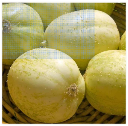 Crystal Apple Cucumber Seeds Vegetable Garden Heirloom Non-GMO