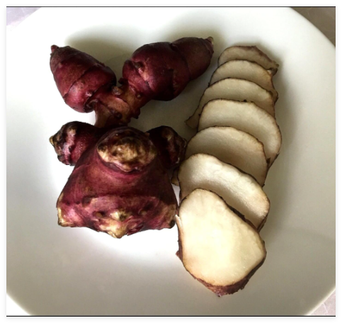 Premium Organic Red Jer lem Artichoke (Sunchoke) –Ready to Plant