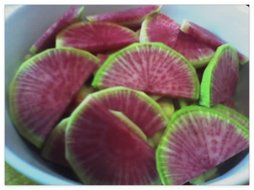 Radish Seeds 'Watermelon' - Great Fun for Kids USA