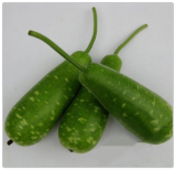 Hybrid Gourd Seeds | NAM Tao Yai| Asian Squash| Pugua Opo Seeds