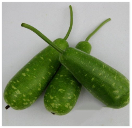 Hybrid Gourd Seeds | NAM Tao Yai| Asian Squash| Pugua Opo Seeds