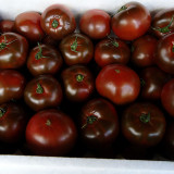 Chocolate Tomato Seeds – Vigorous Growth, Excellent Continuous Fruit-Setting Ability, Unique Color, Nutritious & Delicious