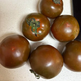 Chocolate Tomato Seeds – Vigorous Growth, Excellent Continuous Fruit-Setting Ability, Unique Color, Nutritious & Delicious