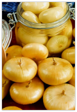 Cipollini Yellow Onion Seeds 200+ Seeds Non-GMO