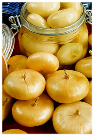 Cipollini Yellow Onion Seeds 200+ Seeds Non-GMO