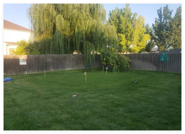 Creeping Bent Grass Seed – Premium Golf Course Grade, Dense Turf Grass