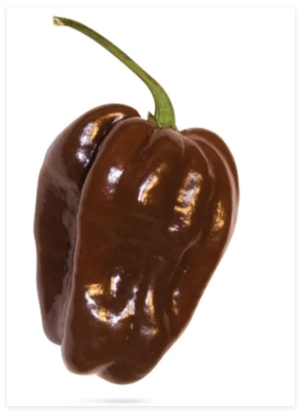 Chocolate Habanero Pepper Seeds
