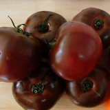 Chocolate Tomato Seeds – Vigorous Growth, Excellent Continuous Fruit-Setting Ability, Unique Color, Nutritious & Delicious