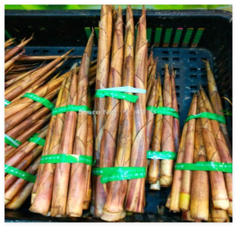 Moso Bamboo Seed Ornamental and Edible Phyllostachys Heterocycla