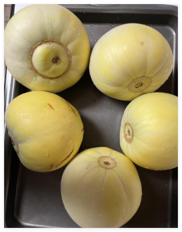 Japanese Sweet Melon Seeds Fresh Seeds Organic