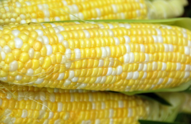 Peaches & Cream Sweet Corn Seeds