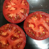 Hokkaido Fruit Tomato Seeds – High Yielding, Disease Resistant, Sweet & Juicy with Great Flavor, Ideal for Fresh Eating