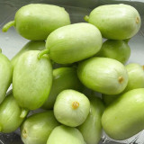 Yuanbao Fruit Cucumber Seeds - High Yield, Easy to Grow, Strong Disease Resistance, Refreshing Taste