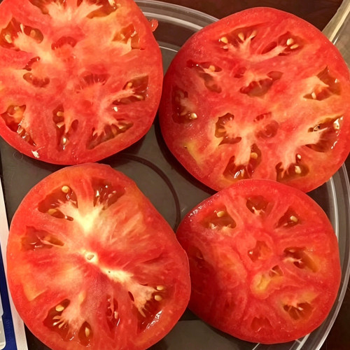 Hokkaido Fruit Tomato Seeds – High Yielding, Disease Resistant, Sweet & Juicy with Great Flavor, Ideal for Fresh Eating