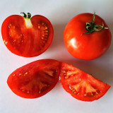 Hokkaido Fruit Tomato Seeds – High Yielding, Disease Resistant, Sweet & Juicy with Great Flavor, Ideal for Fresh Eating
