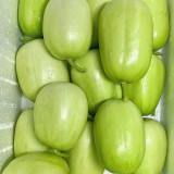 Yuanbao Fruit Cucumber Seeds - High Yield, Easy to Grow, Strong Disease Resistance, Refreshing Taste