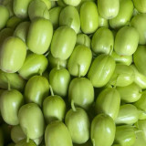 Yuanbao Fruit Cucumber Seeds - High Yield, Easy to Grow, Strong Disease Resistance, Refreshing Taste