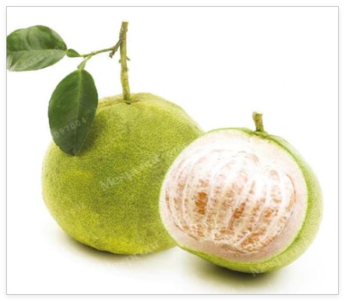 Very Popular Citrus Maxima Seed Rare Delicious Pomelo Fruit Seed Easy to Grow for Home Garden Planting - (Color: 3)