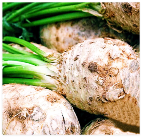 Celeriac Seeds - Giant Prague Vegetable Non-GMO Heirloom