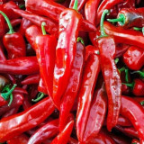 Extra Spicy 'La Mei Zi' Pepper Seeds – Early Maturing, Disease Resistant, Thin Skin, High Yield, Multi-Purpose