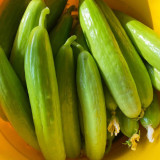 Crispy Jade Fruit Cucumber Seeds - High-Yield, Easy to Grow, Continuous Fruiting, Ideal for Home Gardening