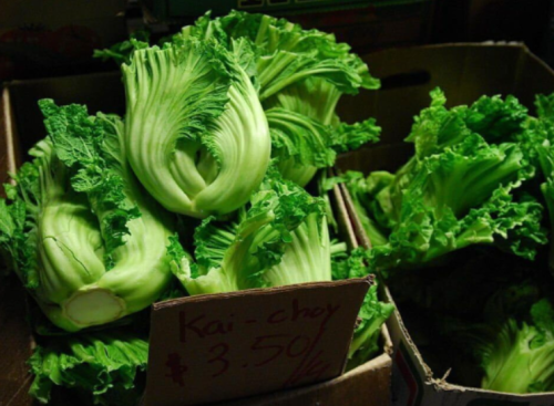 Oriental Mustard Seeds Chinese GAI Choy, Brassica Juncea