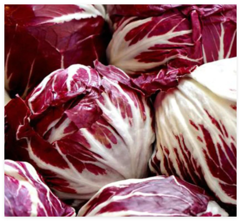 Radicchio Seeds Palla ROSA Cool Season Vegetable Garden