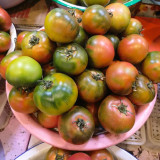 Sweet Heart Fruit Tomato Seeds - Early Maturing, Indeterminate, High Yielding, Disease Resistant, Rich Flavor